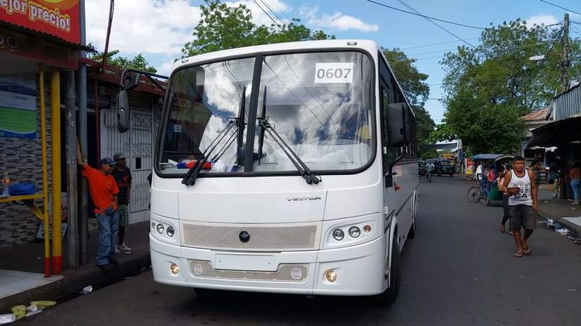 buses